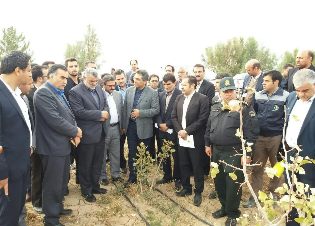 بازدید وزیر جهاد کشاورزی از مزرعه الگویی خارشتر