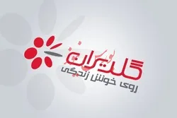 افزایش قابل توجه فروش در گلدیران