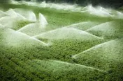 تخصیص تسهیلات از محل منابع صندوق توسعه ملی برای شبکه های آبیاری