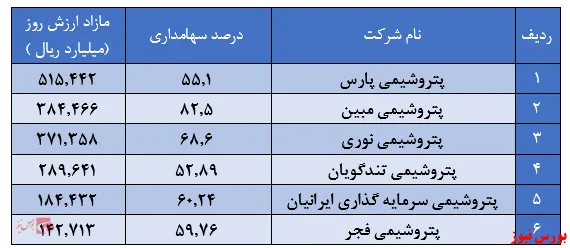 ۶پتروشیمی سودساز 