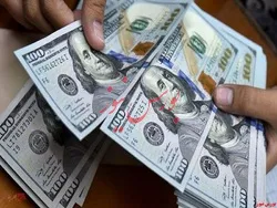 تشکیل کمیته نظارت بر نحوه تخصیص ارز ۴۲۰۰ تومانی