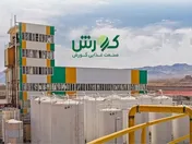 سهم ۵۵ درصدی روغن خوراکی از درآمد “غکورش”