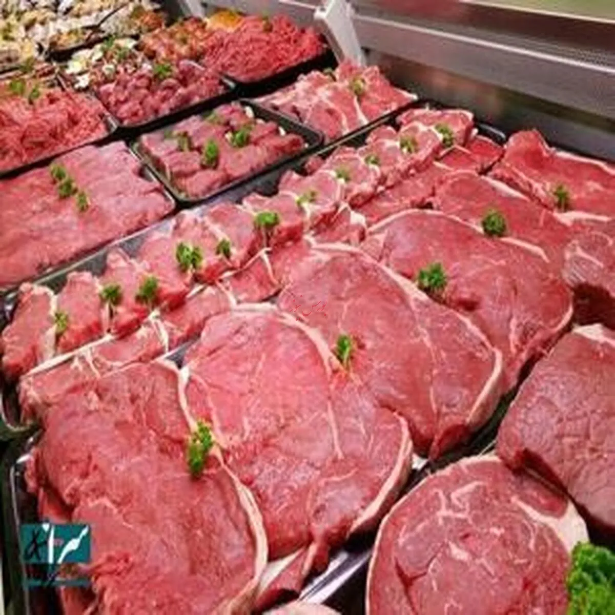 قیمت روز گوشت گوسفندی - ۲۳ اردیبهشت ۱۴۰۴
