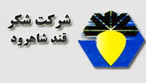 آلارم کاهش کشت چغندرقند در کشور/ تصفیه شکر توجیه اقتصادی ندارد