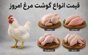 قیمت جدید گوشت مرغ امروز ۱۶ مرداد ۱۴۰۴/ مرغ کامل کیلویی چند شد؟