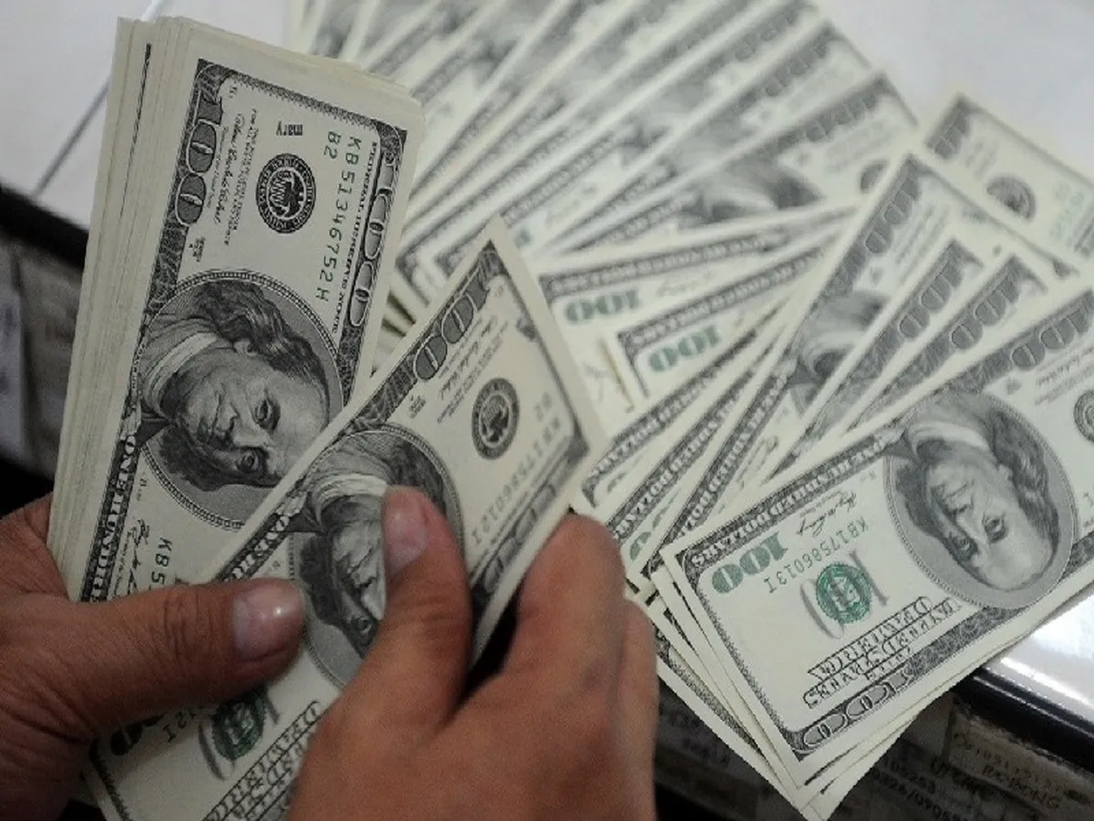بانک مرکزی با واردات کالاهای اساسی بدون انتقال ارز مخالف است