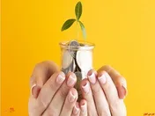 سود ۴۹۴ریالی هر سهم 