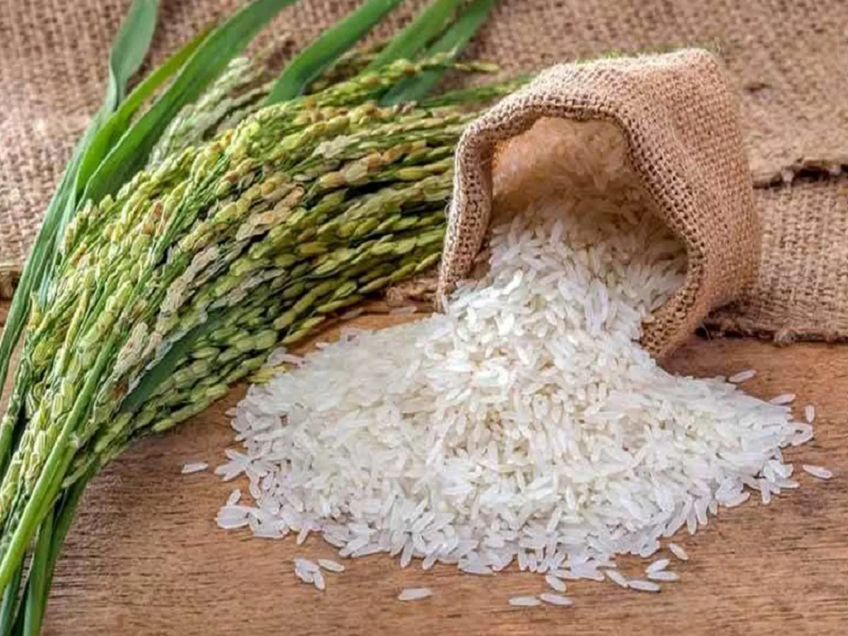 قیمت برنج در بازارهای جهانی