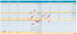 صورت مالی حسابرسی نشده 