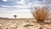 ما همه چیز را در بازار بورس به مردم قالب می‌کنیم، حتی بیابان‌ها را!