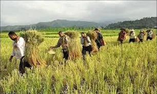 شناسنامه‌دار شدن محصولات مستلزم قطب‌بندی مناسب کشور است