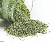 استقبال معامله گران از قرارداد آتی زیره سبز