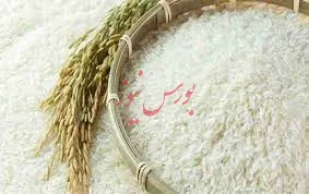 ۹۶۹هزار تن برنج وارد شد