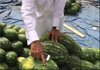 هندوانه‌ سیاسی شد