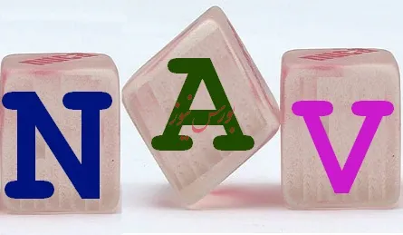 NAV هر سهم 