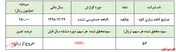 زیان دهی 