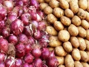 سیب زمینی و پیاز صادر نمی شود