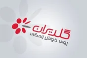 افزایش قابل توجه فروش در گلدیران