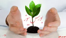 اظهارنظر حسابرس بر گزارش سرمایه 