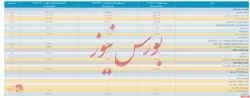 این هم از صورت مالی زیرمجموعه 