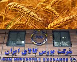 مزایای عرضه محصولات کشاورزی در بورس کالا برای کشاورزان و دولت