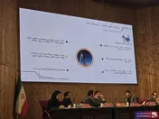 تولیدات 