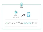 سرمایه‌گذاری کنترلی گروه مالی فیروزه در پلتفرم تامین مالی جمعی دونگی