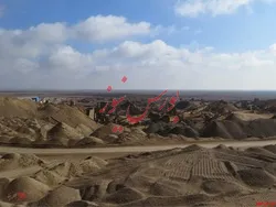آغاز پرداخت سود 