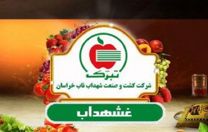 انتشار صورت های مالی «غشهداب»