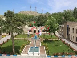 زمان پرداخت سود 