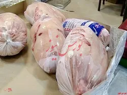 توزیع مرغ منجمد به میزان ۱۰۰۰ تن در روز