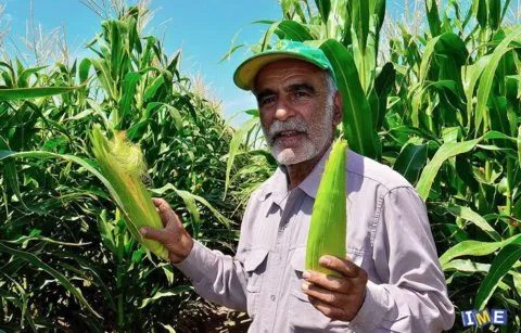 طرح قیمت تضمینی در بورس کالا برای همه محصولات کشاورزی اجرایی شود
