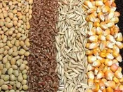سود تنها ۹۸میلیارد ریالی 
