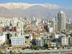 شریک 
