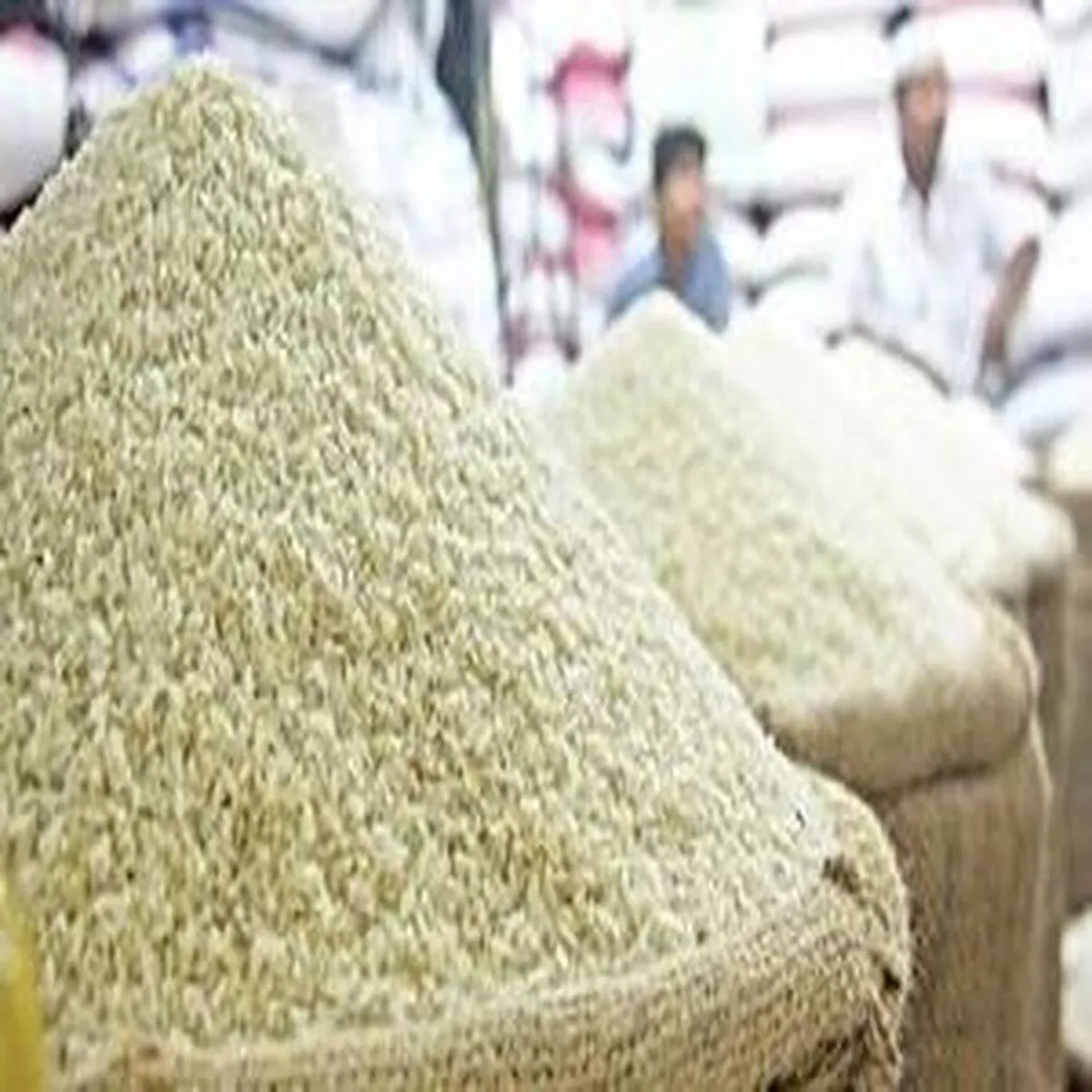 اعلام جدیدترین قیمت‌ برنج در میادین و بازارهای میوه و تره‌بار