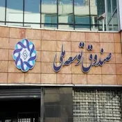 برداشت ۱.۵ میلیارد دلار از صندوق توسعه ملی برای تأمین کالاهای اساسی در سال ۱۴۰۴