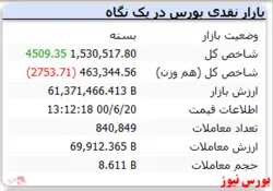 شاخص رشد ۴ هزار واحدی داشت