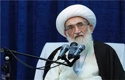 آیت الله نوری همدانی: یارانه‌ها نباید در اختیار افراد ثروتمند قرار گیرد