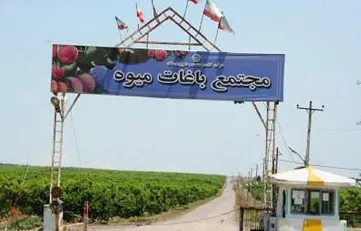 تعلیق واگذاری کشت و صنعت مغان