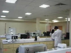 پرداخت سود 