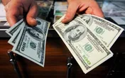 عرضه ارز پتروشیمی‌ها به مرز ۵ میلیارد یورو
