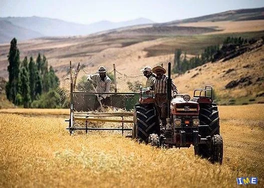 حضور کشاورزان و تولیدکنندگان در بورس کالا مانعی برای نوسانات شدید قیمتی