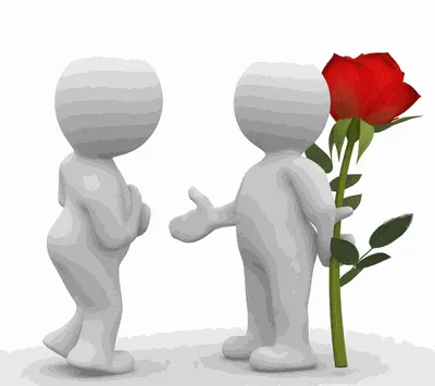 تصويب طرح انتخاب همسريابي دانش‌آموزان دختر دوره پيش‌دانشگاهي
