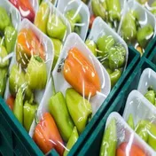 صادرات ۵۰۰ هزار تن محصولات گلخانه‌ای به بازارهای جهانی
