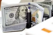 ضرورت اجتناب از نوسان‌های شدید در بازار ارز / نرخ غیر واقعی ارز، بلای جان اقتصاد