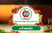 انتشار صورت های مالی «غشهداب»
