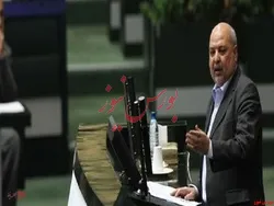 اختیار حذف و یا عدم حذف ارز ترجیحی برعهده دولت قرار داده شد