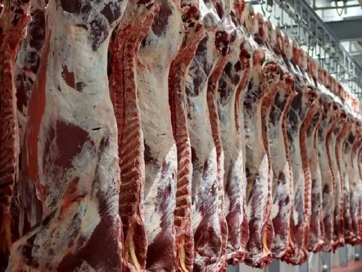 عوارض واردات گوشت قرمز ۱۱۰۰۰ ریال شد
