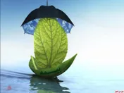 افزایش سرمایه 