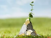 حفظ ساختار پرتفوی 